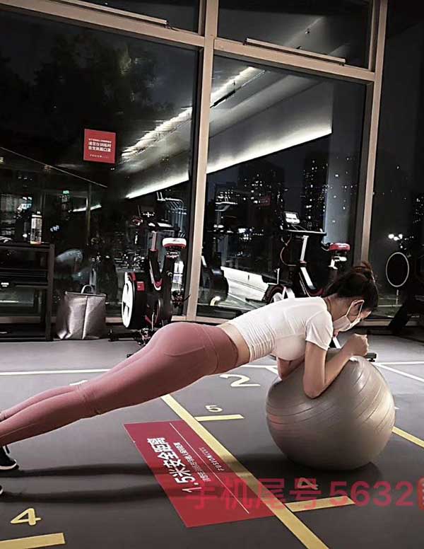 波士顿商务伴游招聘